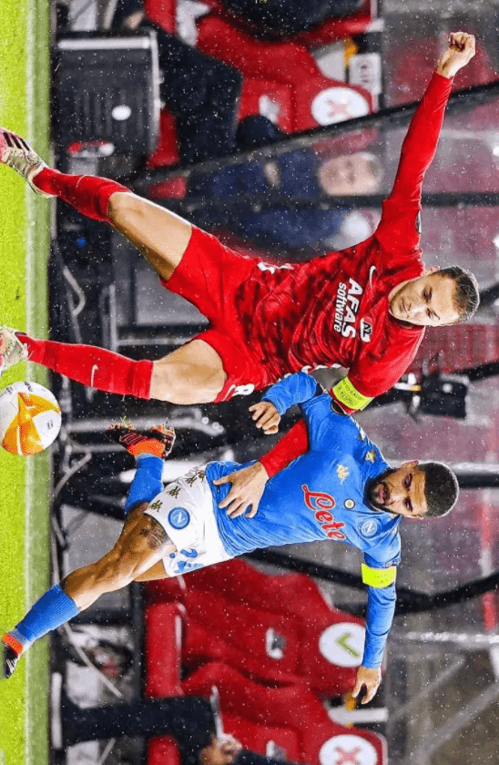 大利市场打 大利市场打